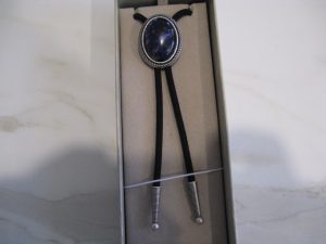 SILVER PLATED BLUE PLESSITE STONE BOLO TIE WITH ROPE BORDER